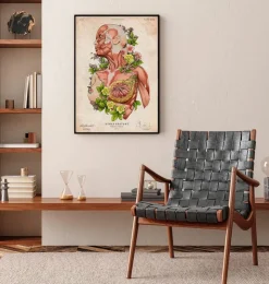 Weibliche Körper Anatomie Kunst | Codex Anatomicus Outlet
