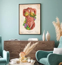 Weibliche Rumpfmuskeln - Floral - Altes Papier | Codex Anatomicus Discount