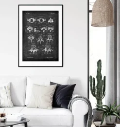 Wirbel - Chalkboard | Codex Anatomicus New