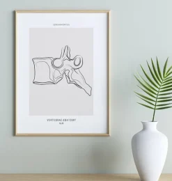 Wirbel Anatomie - Line-Art | Codex Anatomicus Sale