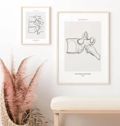 Wirbel Anatomie - Line-Art | Codex Anatomicus Sale