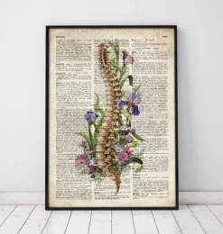 Wirbelsäulen Anatomie - Blumen - Altes Wörterbuch | Codex Anatomicus Clearance