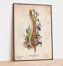 Wirbelsäulen Anatomie - Blumen - Altes Papier | Codex Anatomicus Hot