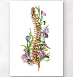 Wirbelsäulen Anatomie - Floral - Weiß | Codex Anatomicus Online