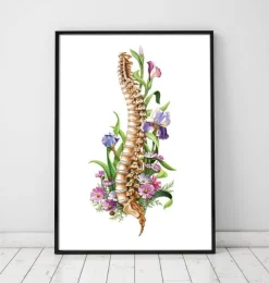 Wirbelsäulen Anatomie - Floral - Weiß | Codex Anatomicus Online