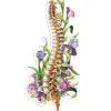 Wirbelsäulen Anatomie Aufkleber - Floral | Codex Anatomicus Fashion