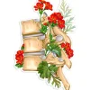 Wirbelsäulen Anatomie Aufkleber II - Floral | Codex Anatomicus Fashion