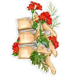 Wirbelsäulen Anatomie Aufkleber II - Floral | Codex Anatomicus Fashion