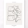 Wirbelsäulen Anatomie II - Line-Art | Codex Anatomicus Sale