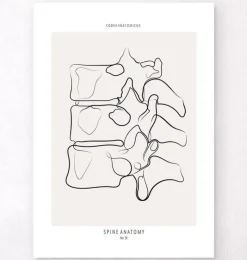 Wirbelsäulen Anatomie II - Line-Art | Codex Anatomicus Sale
