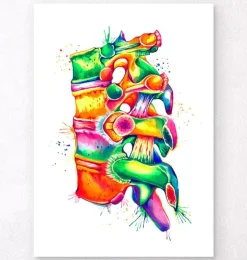 Wirbelsäulen Anatomie II - Aquarell | Codex Anatomicus Best