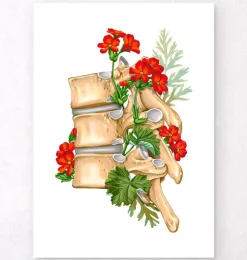 Wirbelsäulen Anatomie II - Floral - Weiß | Codex Anatomicus Outlet