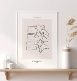 Wirbelsäulen Anatomie II - Line-Art | Codex Anatomicus Sale