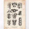 Wirbelsäulen Anatomie III | Codex Anatomicus Clearance