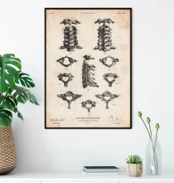 Wirbelsäulen Anatomie Kunst II | Codex Anatomicus New