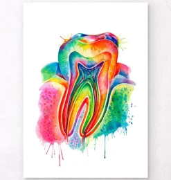 Zahn Anatomie - Aquarell | Codex Anatomicus Discount