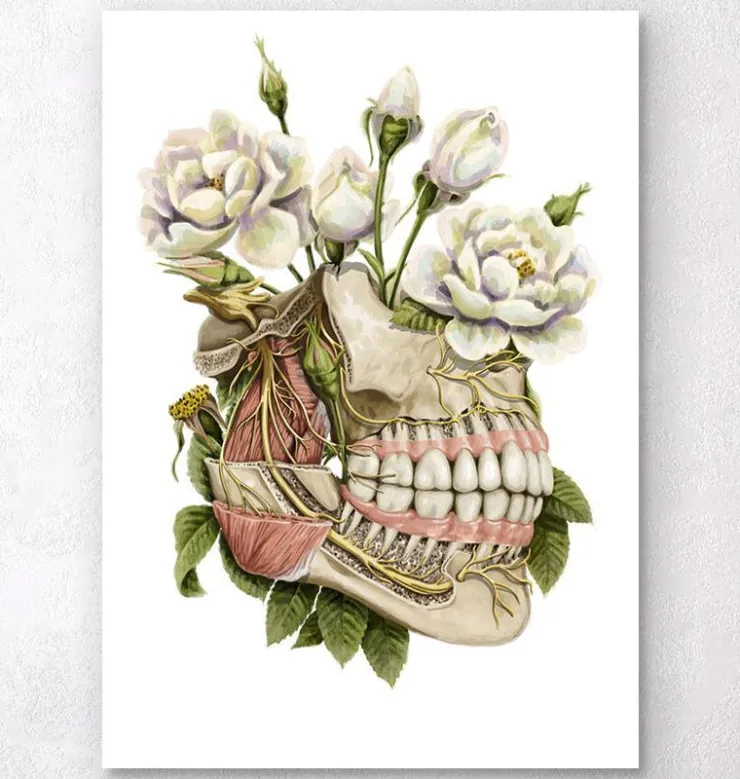 Zahn Anatomie - Floral | Codex Anatomicus Hot