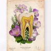 Zahn Anatomie - Floral - Altes Papier | Codex Anatomicus Online