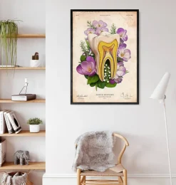Zahn Anatomie - Floral - Altes Papier | Codex Anatomicus Online