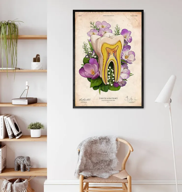 Zahn Anatomie - Floral - Altes Papier | Codex Anatomicus Online