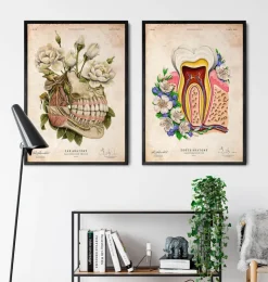 Zahn Anatomie - Floral - Altes Papier | Codex Anatomicus New
