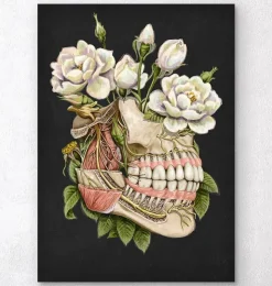 Zahn Anatomie - Floral - Schwarz | Codex Anatomicus Clearance