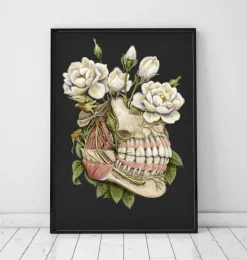 Zahn Anatomie - Floral - Schwarz | Codex Anatomicus Clearance