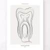 Zahn Anatomie - Line-Art | Codex Anatomicus Hot