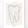 Zahn Anatomie II - Line-Art | Codex Anatomicus Fashion