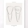 Zahn Anatomie III - Line-Art | Codex Anatomicus Online