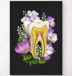 Zahnanatomie - Blumen - Schwarz | Codex Anatomicus Online