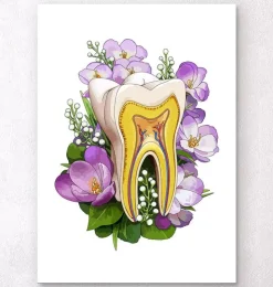 Zahnanatomie - Blumen - Weiß | Codex Anatomicus Outlet