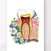 Zahnanatomie II - Floral - Weiß | Codex Anatomicus Sale