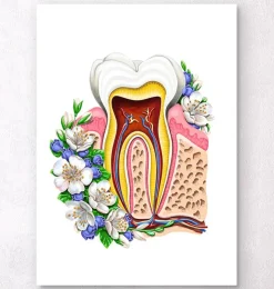 Zahnanatomie II - Floral - Weiß | Codex Anatomicus Sale