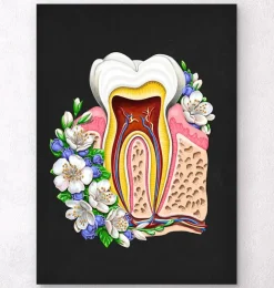 Zahnanatomie II - Floral - Schwarz | Codex Anatomicus Clearance