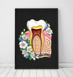 Zahnanatomie II - Floral - Schwarz | Codex Anatomicus Clearance