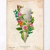 Zahnanatomie III - Floral - Vintage | Codex Anatomicus Fashion