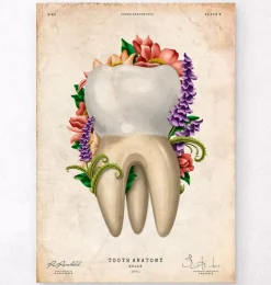 Zahnanatomie IV - Floral - Vintage | Codex Anatomicus Best
